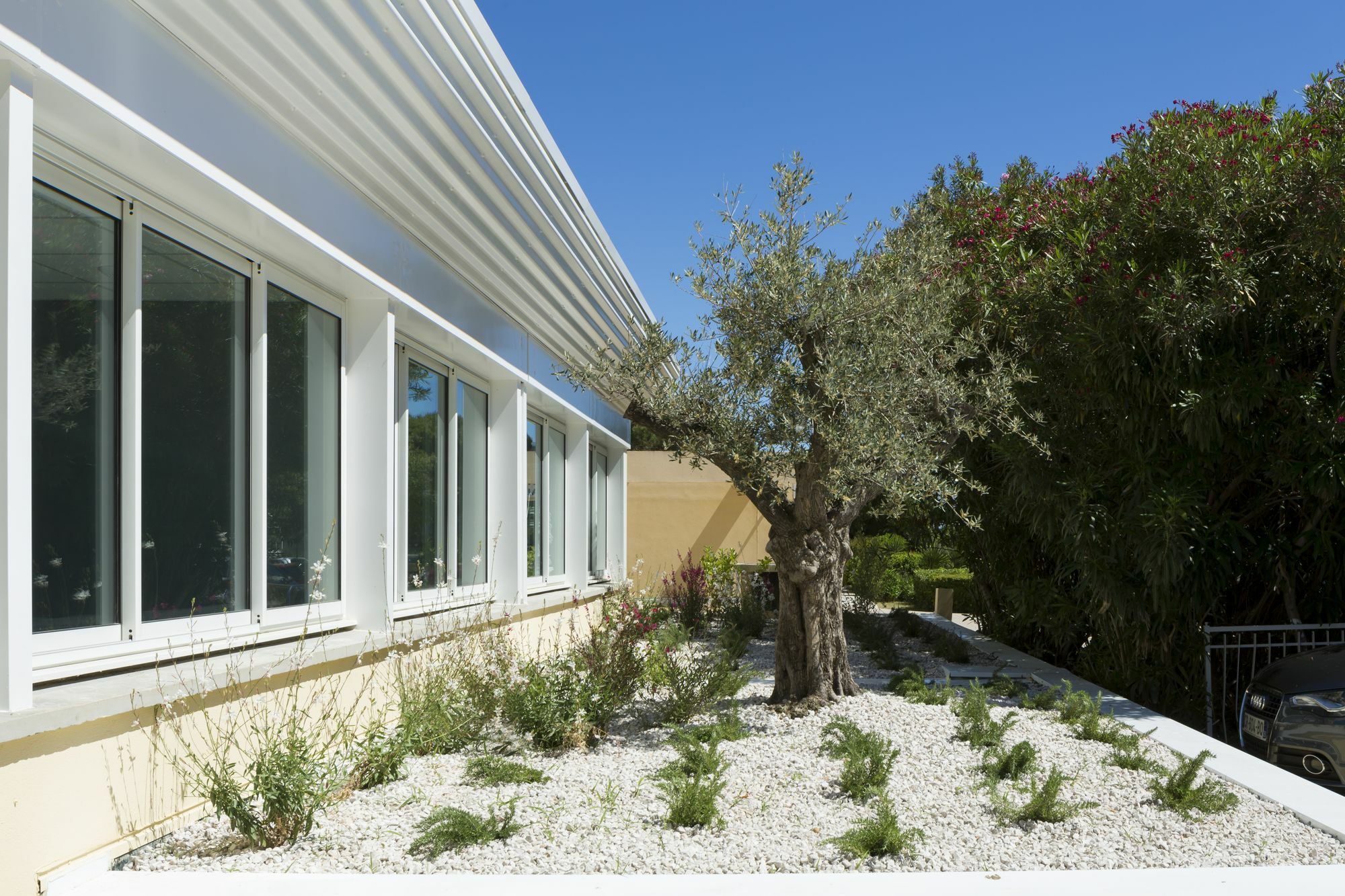 Logis Hotel Les Pins - Operalia Balaruc-les-Bains Bagian luar foto